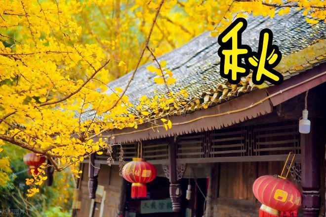 合秋天吃的菜合理“贴秋膘”不能乱补PG麻将胡了进入秋季推荐5道更适(图4)